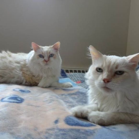 Meet your Posher, June - Picture 1 of 1